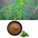 ArtemisininFunmatu-100